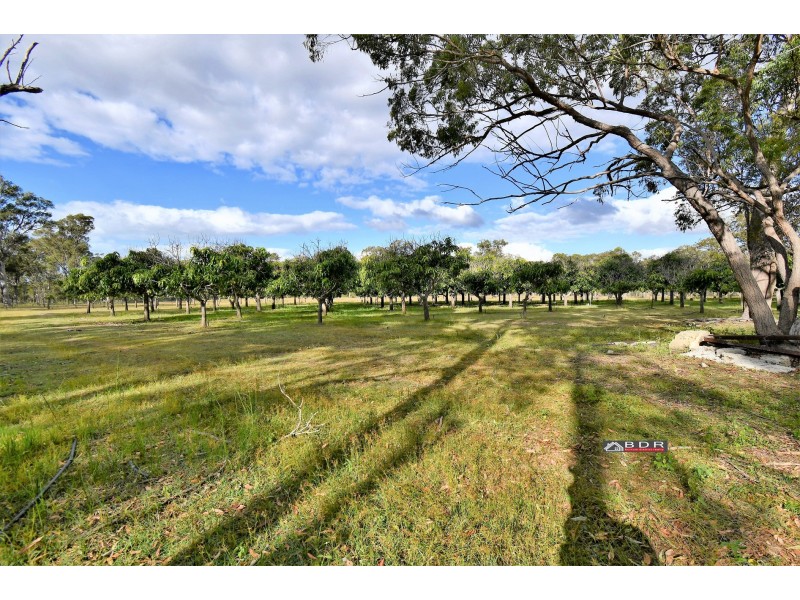 53 Pacific Haven CCt, Pacific Haven QLD 4659