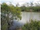 16 Island Close, Pacific Haven QLD 4659