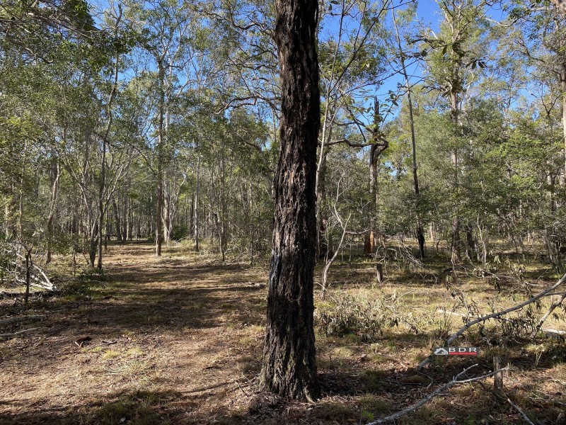 107 Pacific Haven Circuit, Pacific Haven QLD 4659