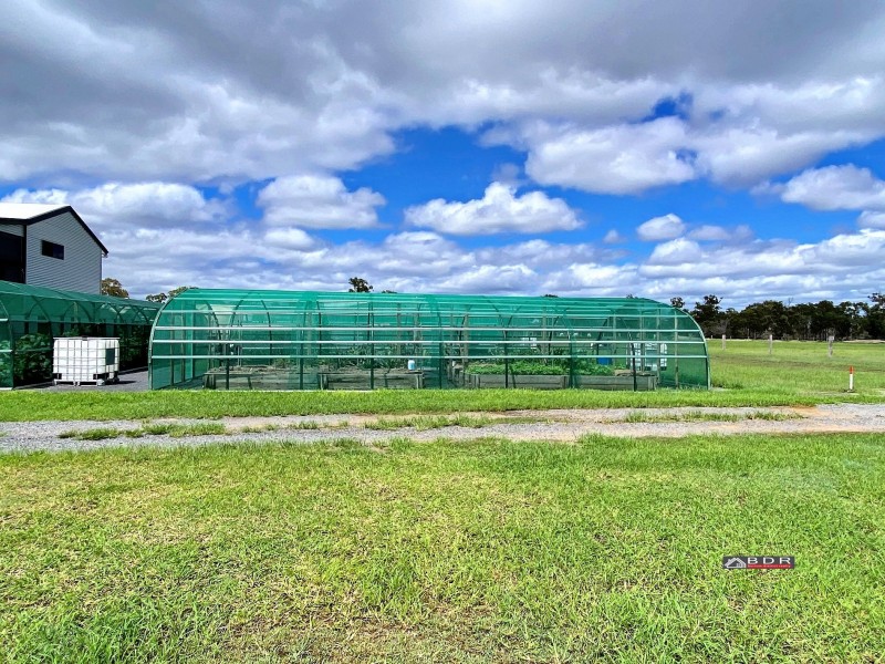 33 Watkins Street, Buxton QLD 4660