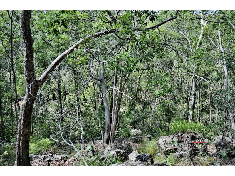 726 Buxton Road, Buxton QLD 4660