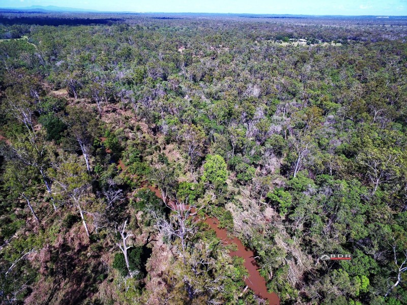 726 Buxton Road, Buxton QLD 4660