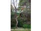 26 Samarinda Way, Point Lookout QLD 4183