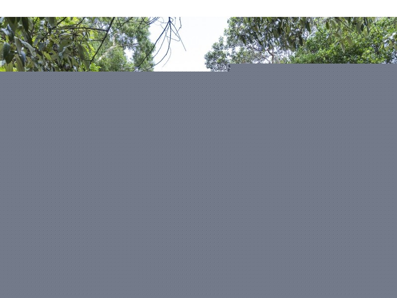 7 Bigoon Rd, Point Lookout QLD 4183