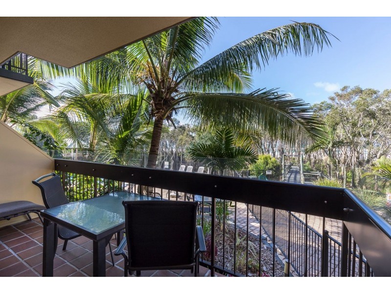 15 and 16/112 Dickson Way, Point Lookout QLD 4183