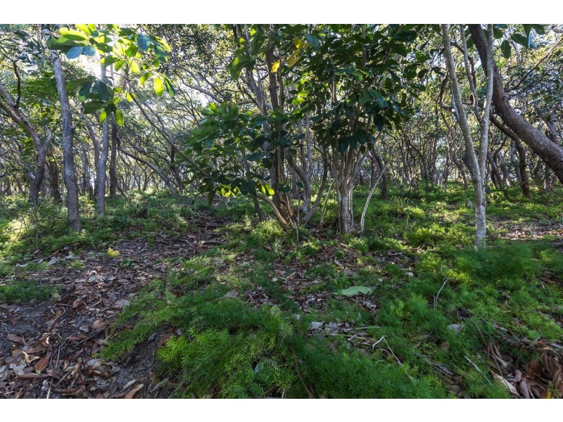 36 Samarinda Way, Point Lookout QLD 4183