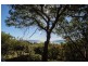 35 Tramican Street, Point Lookout QLD 4183