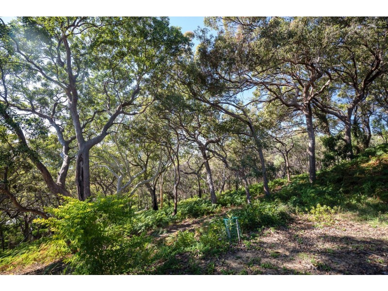 35 Tramican Street, Point Lookout QLD 4183