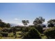 4 Boronia Court, Dunwich QLD 4183