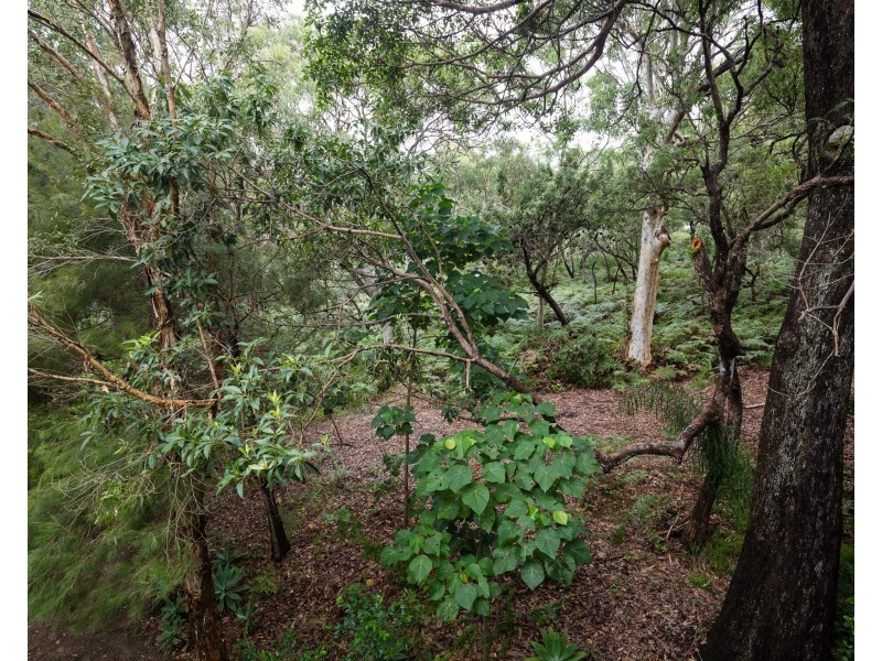 3/120 Tramican Street, Point Lookout QLD 4183