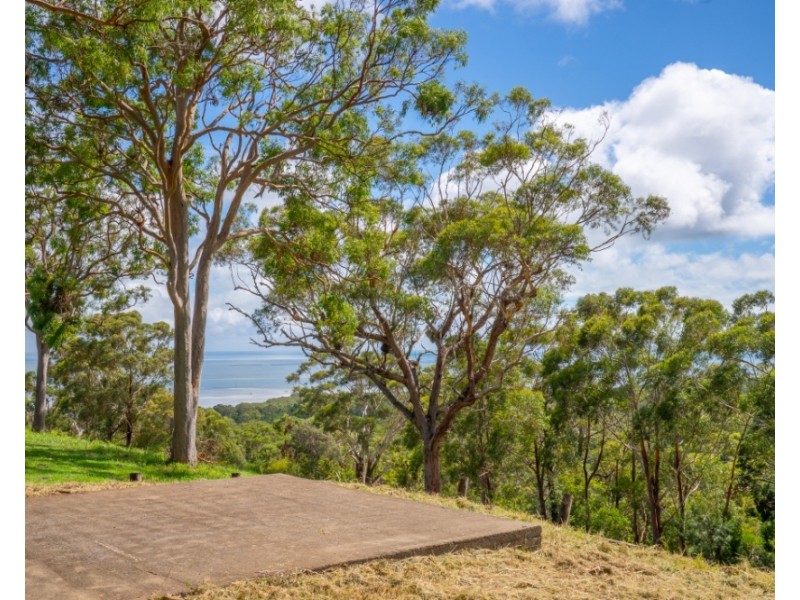 12 Illawong Crescent, Dunwich QLD 4183