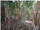 10 Sennfeld Close, Palm Cove QLD 4879