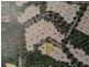 10 Sennfeld Close, Palm Cove QLD 4879
