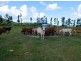 Lot 102 Old Tully Road, Feluga QLD 4854