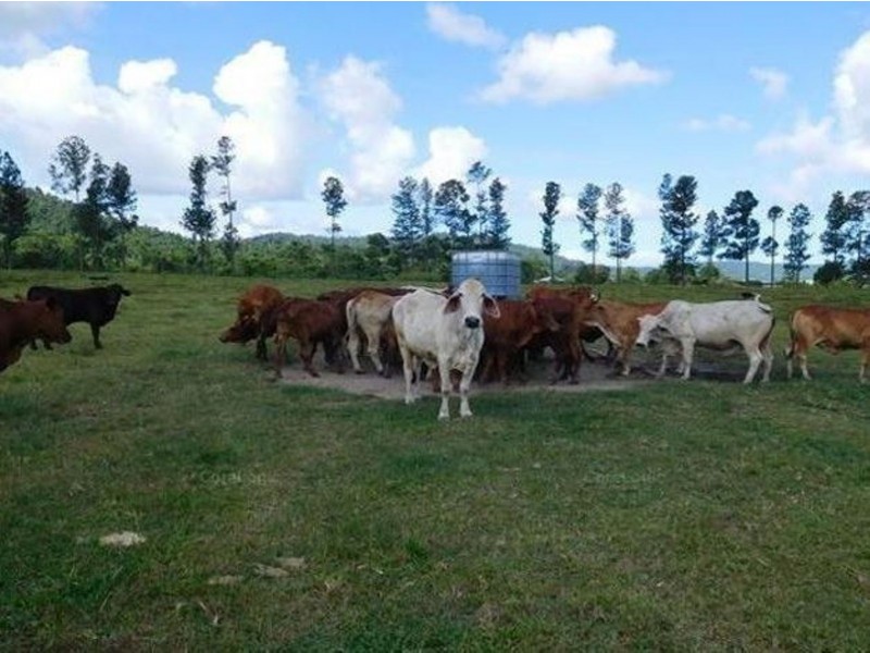 Lot 102 Old Tully Road, Feluga QLD 4854