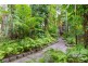 11/10-14 Amphora Street, Palm Cove QLD 4879