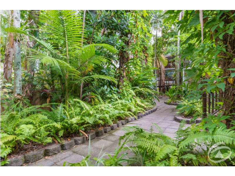 11/10-14 Amphora Street, Palm Cove QLD 4879