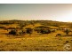 380 Powley Road, Barrine QLD 4872