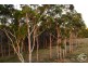 380 Powley Road, Barrine QLD 4872