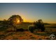 380 Powley Road, Barrine QLD 4872