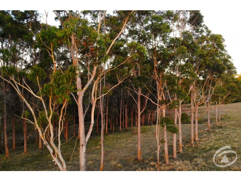 380 Powley Road, Barrine QLD 4872