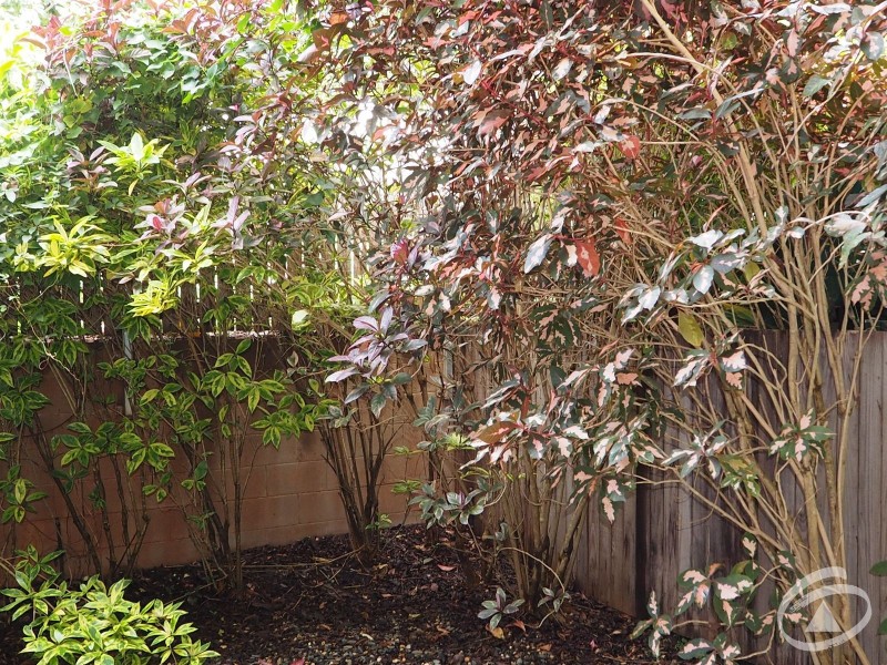 4/40-46 Redlynch Intake Road, Redlynch QLD 4870