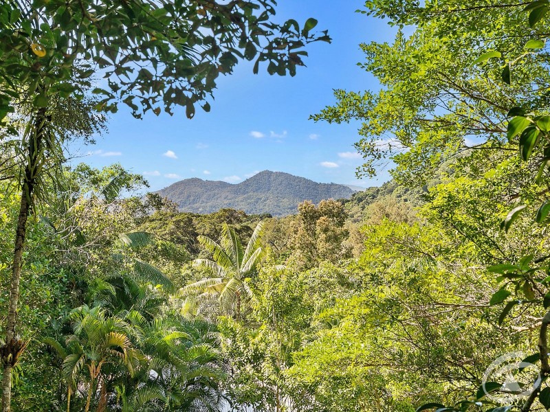 L15 Cyathea Close, Kamerunga QLD 4870