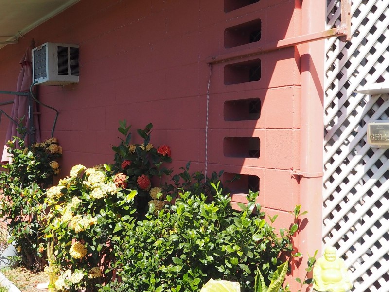 2/55 Ishmael Road, Earlville QLD 4870