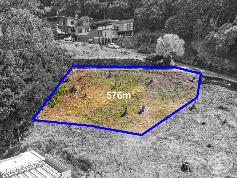 12 Seascape Close, Palm Cove QLD 4879