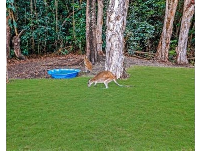 10 Euston Close, Clifton Beach QLD 4879