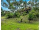 78 Green Forest Road, Kuranda QLD 4881