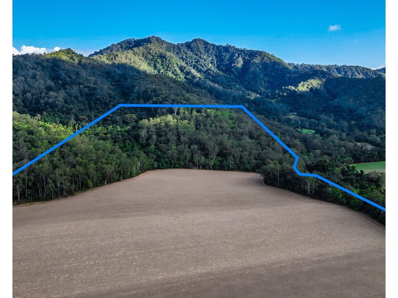 321 Mount Peter Road, Mount Peter QLD 4869