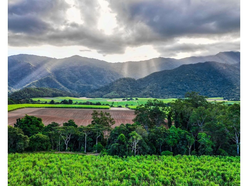 321 Mount Peter Road, Mount Peter QLD 4869