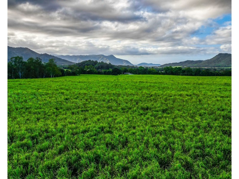 321 Mount Peter Road, Mount Peter QLD 4869