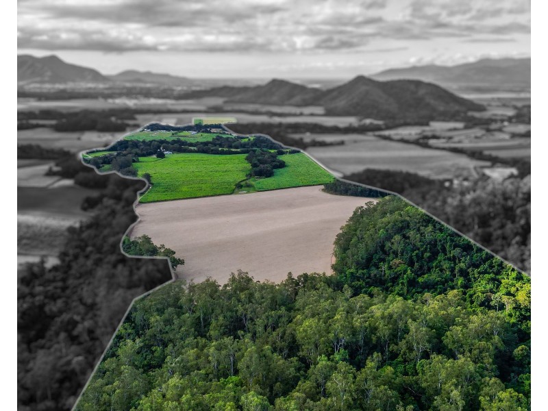 321 Mount Peter Road, Mount Peter QLD 4869