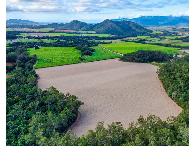 321 Mount Peter Road, Mount Peter QLD 4869