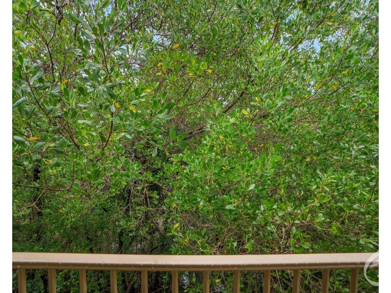 11/38 Springfield Crescent, Manoora QLD 4870