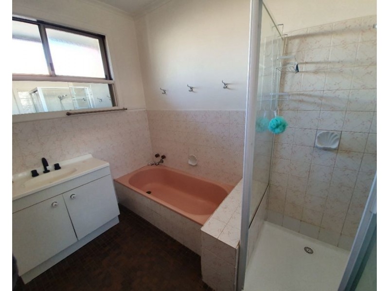 20 Birchwood Street, Fawkner VIC 3060