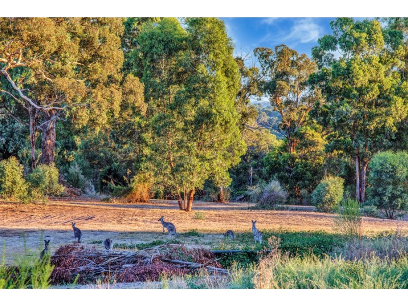 10 Allumba Drive, St Helena VIC 3088