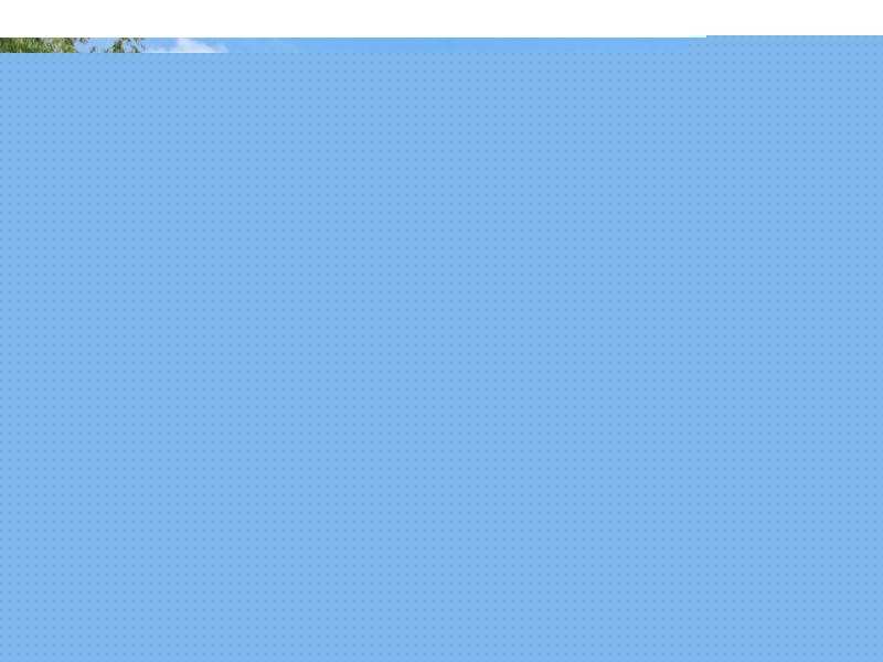 8 Orient Grove, Brunswick VIC 3056