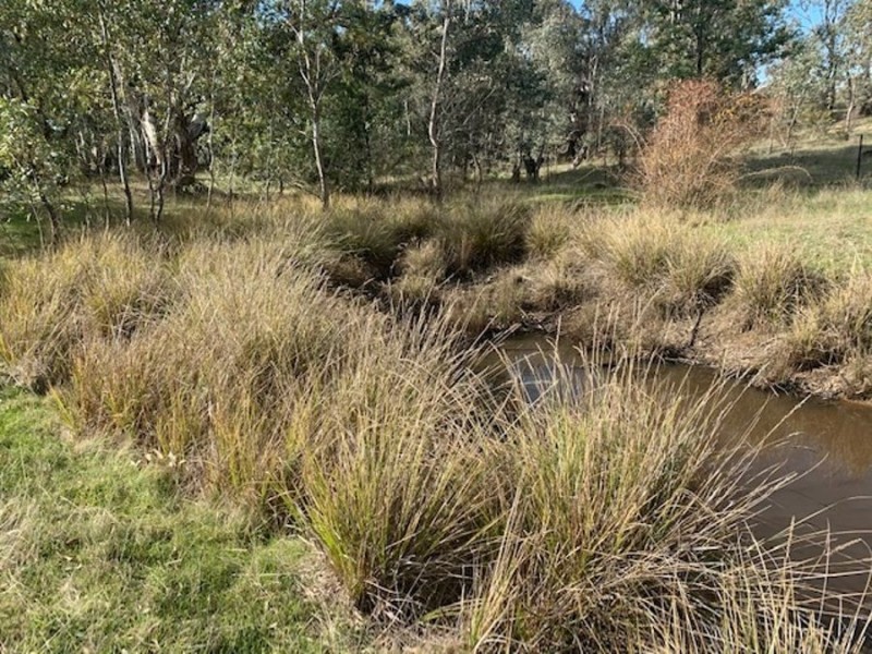 29L Sunraysia Highway, Stuart Mill VIC 3477