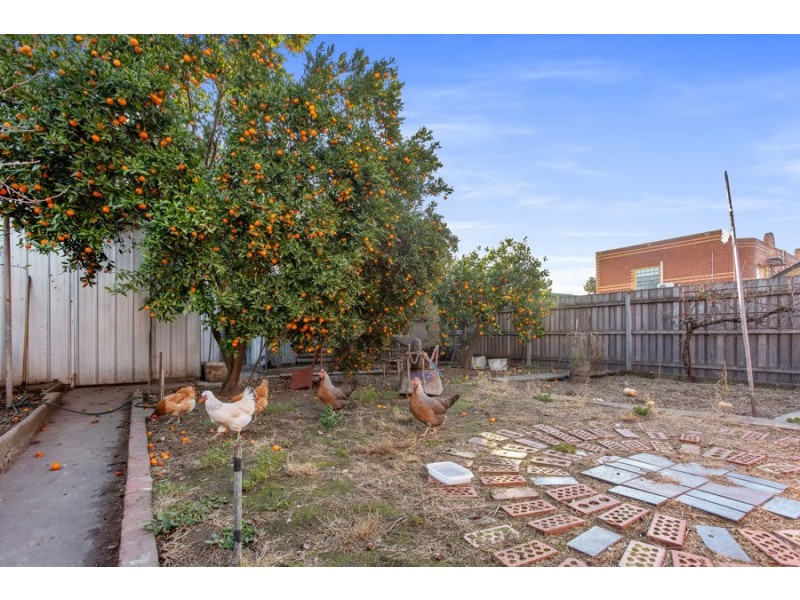 97 Pearson Street, Brunswick West VIC 3055