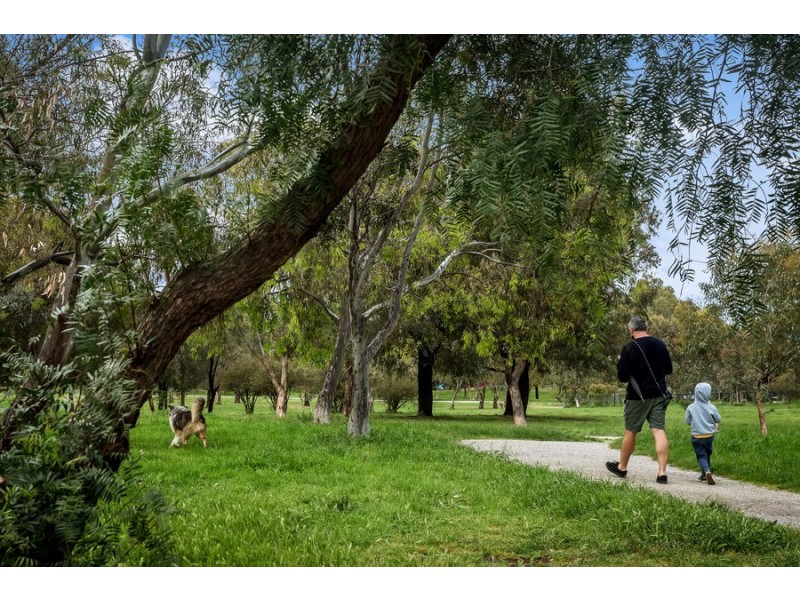 7/376 Albert Street, Brunswick VIC 3056