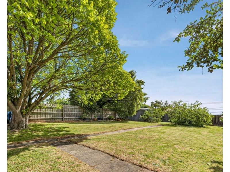 19 Archibald Street, Pascoe Vale VIC 3044