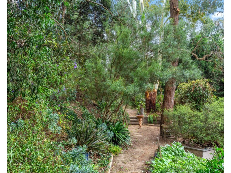 16 Haddon Court, Mitcham VIC 3132