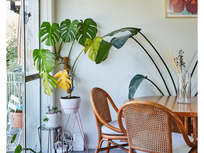 12/45 Woolton Avenue, Thornbury VIC 3071