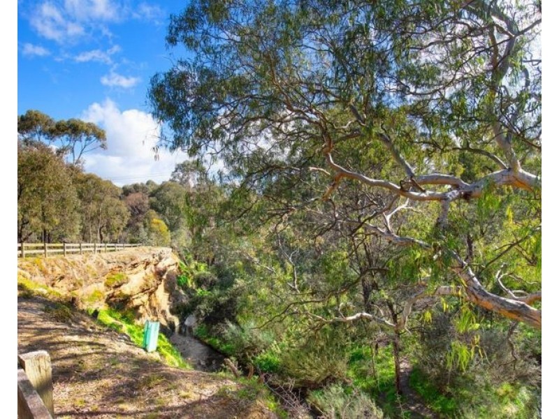 55 Snapshot Drive, Coburg North VIC 3058