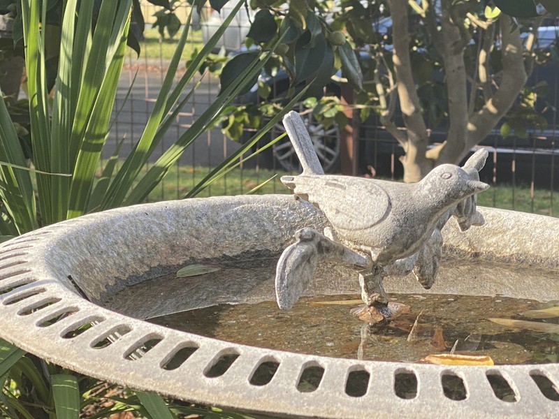 51 Hallifax Street, Seaford VIC 3198