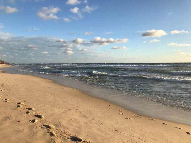 1 Wyatt Street, Seaford VIC 3198