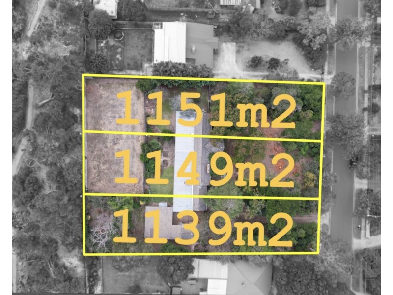 12A & 12B Kananook Avenue, Seaford VIC 3198